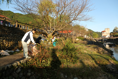湯本地区では深川川河川遊歩道や国道316号線沿いを清掃