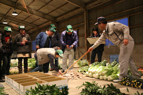 新鮮な野菜や果物、生花が次々に競り落とされる