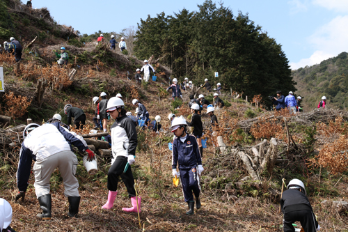 約100人の児童の手で、ドングリ・クヌギを合わせて約200本が植栽された