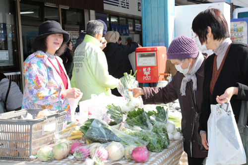 旬な野菜や鮮魚が販売される朝市
