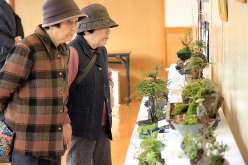 公民館の会場では園芸や絵画などの作品を展示
