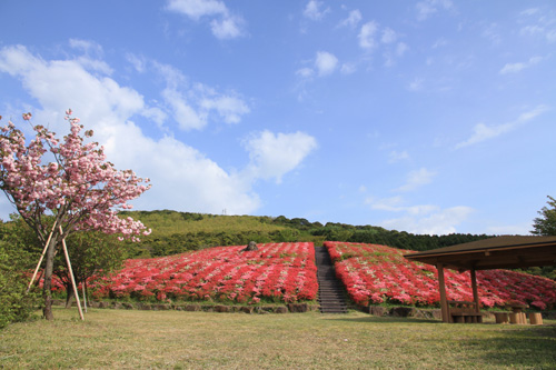 千畳敷に向かう途中にある菅無田公園