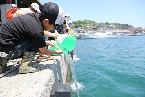 子どもたちがヒラメの稚魚を放流