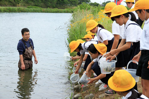 河川環境の保全と生態系維持を目的に毎年鮎を放流している