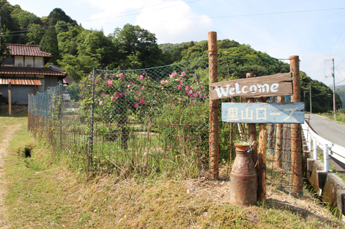 俵山の温泉街から北に約3km、上政地区の道路沿いにバラ園が広がる