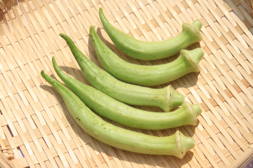 戦後、長門市三隅を中心に栽培されてきた伝統野菜