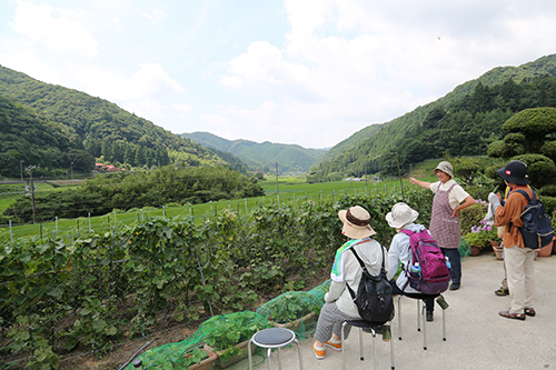 里山の風景を眺めながら休憩