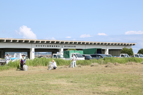 「西日本やきとり祭りin長門」は、昨年に続き湊魚市場で開催される