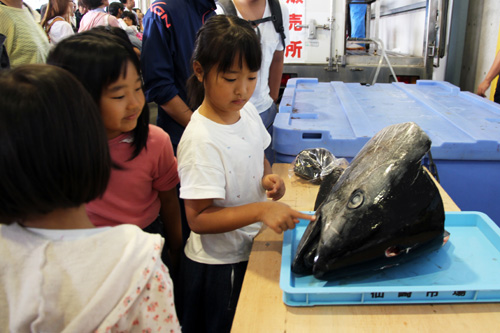 マグロの解体ショーで捌かれたマグロの頭部を恐る恐る見学する子どもたち