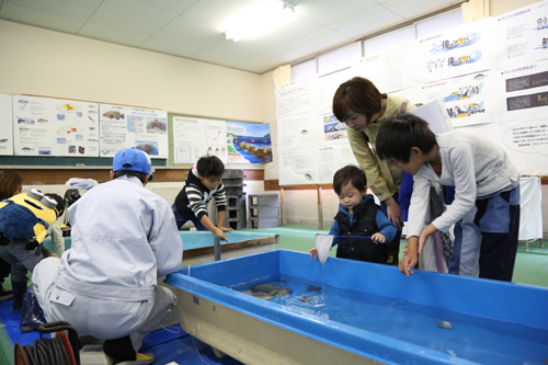 校舎内は展示会場となり、学習内容の紹介や海の生き物に触れられるコーナーが設けられた