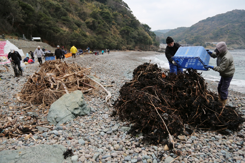 木や海藻はそれぞれ2立方メートルの量を収集