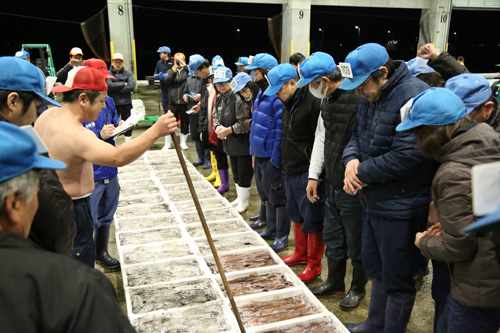 水揚げされたばかりの魚介に目を通す