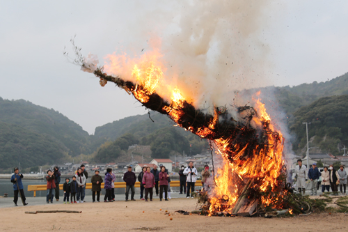 今年は山と海の中間に倒れたため、豊作・豊漁の1年になるとのこと