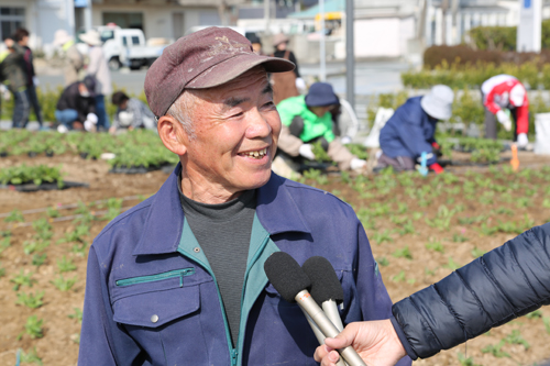 「リビングストンデージーは広島で見て一目ぼれした花。外から来られた方にぜひ見てほしい」と小田さん