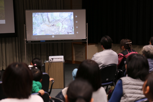 山口県内の山林に設置されたアナグマの巣のライブ映像も上映