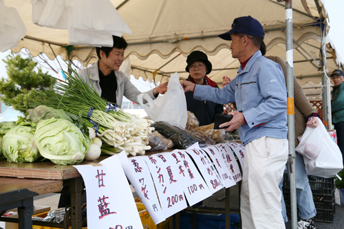 新鮮な野菜が並ぶ