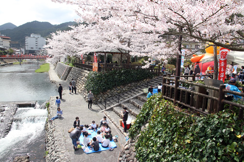 桜も見ごろを迎え、花見などを楽しむ人も