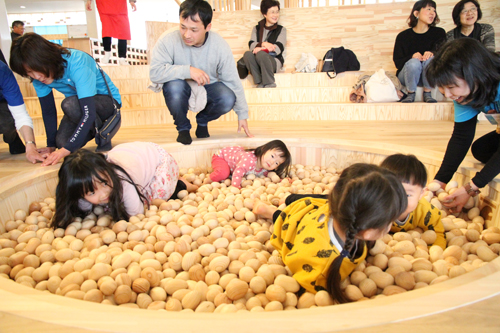 館内では100種類を超える木のおもちゃで遊べる