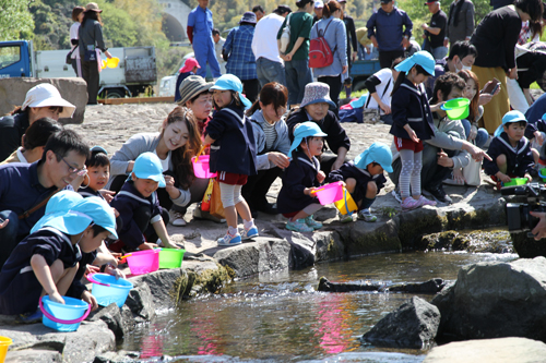 たくさんの生き物が育つ美しい川となるよう願い鮎を放流