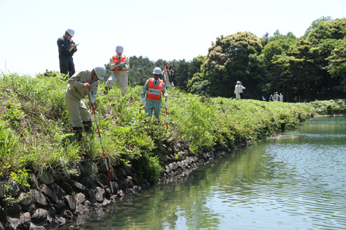 堤体を調べ、雑草が生い茂っていないかを確認