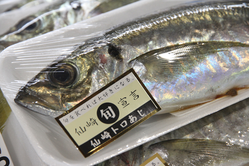 旬宣言が発令された「仙崎トロあじ」