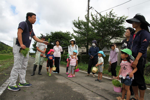 苗の植え方を山口県長門農林水産事務所の職員が説明