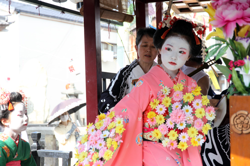 各所で山車を止め、踊り子が舞を披露する