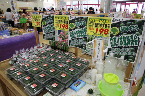 長門ゆずきちは8月下旬から10月中旬まで出荷される