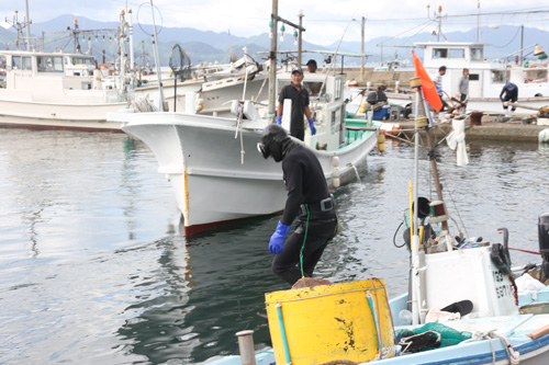 潜って海底のごみを拾う