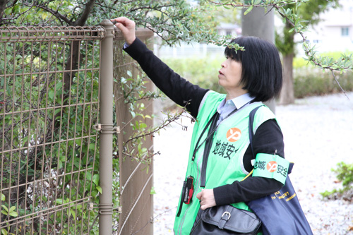 木の茂みの影は、犯罪の温床となりやすい