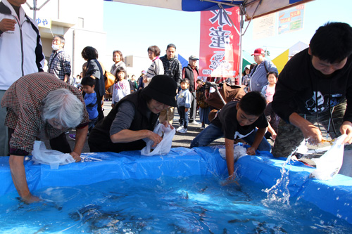約1500匹もの車エビが用意。水面を超え飛び跳ねるほど活きがよかった