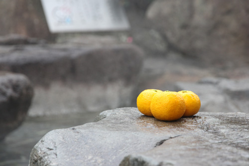 「きになる長門ゆずきち」は「樹になる」「黄になる」「気になる」の３つの意味が込められている