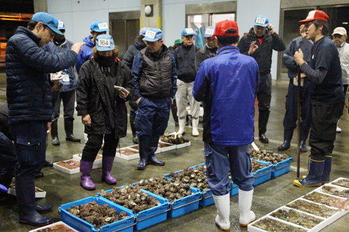 競り人の掛け声に応じ、軽快に魚や貝に値がつけられる
