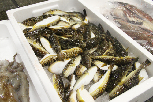 長門の安心・安全で鮮度の良い魚介が市場内には並んだ