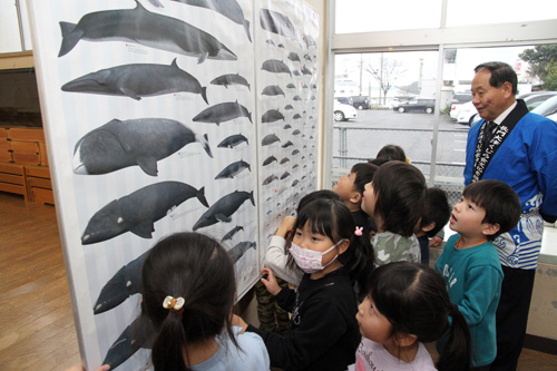 ヒゲクジラとハクジラの違いを図表を見て確認する園児ら