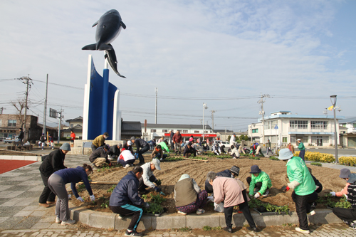 花壇の花植え作業に市民ら約130人が参加