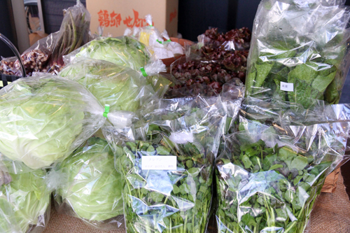 新鮮な野菜類が並ぶ