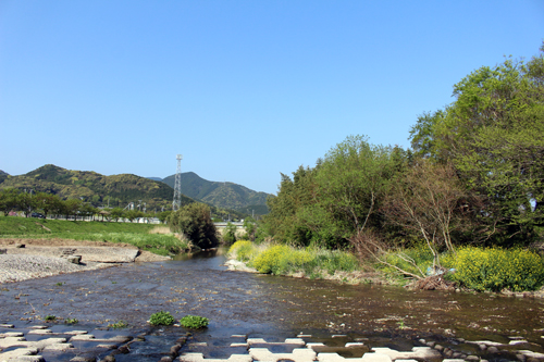 放流された三隅川