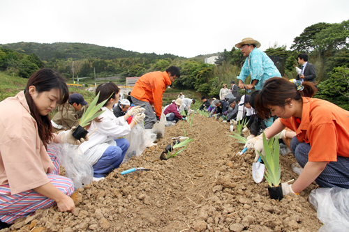 耕作放棄地となった農地を復田し、ハーブを入植