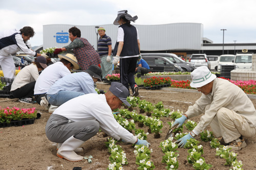 市民ボランティア約40人の手で植栽作業