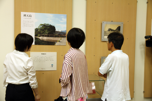 新任学芸員の初めての企画展です
