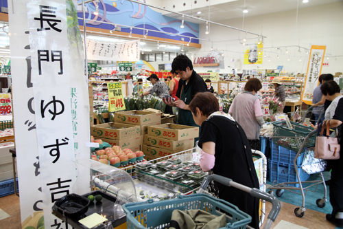 長門ゆずきちは８月中旬から１０月頃まで出荷される予定