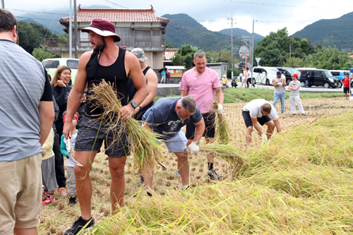 稲刈りを通じて市民と交流