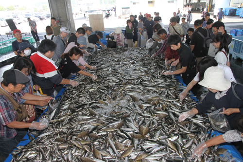 魚の詰め放題でにぎわう会場