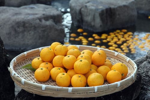 「樹になる」「黄になる」「気になる」の3つの意味が込められた「きになる長門ゆずきち」