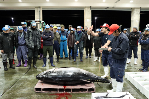 165kgのクロマグロが高値で競り落とされた