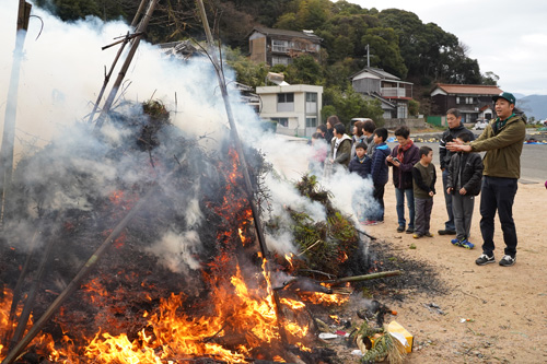 今年は海側に倒れたので豊漁が期待できるとのこと