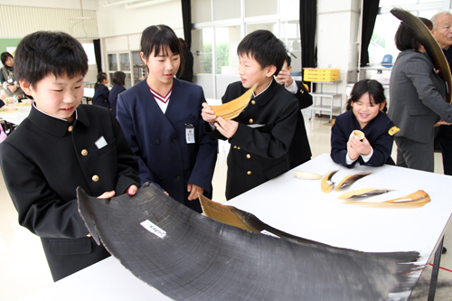 児童らはくじらのひげや歯などを触る