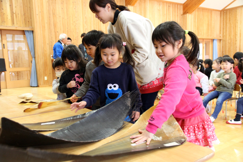 園児らはクジラのひげや歯を実際に触る