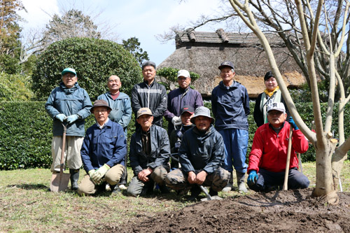 三隅山荘でハゼノキを植樹